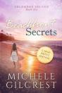Beachfront Secrets (Solomons Island Book 6) Large Print - Preview