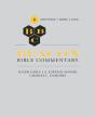 Beacon Bible Commentary, Volume 6 - Preview