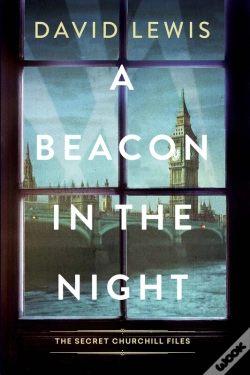 Capa do artigo Beacon In The Night