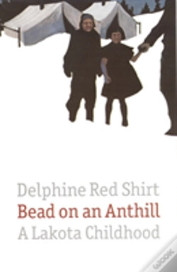 Capa do artigo Bead On An Anthill