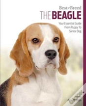 Capa do artigo Beagle