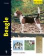 Beagle - Preview