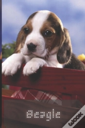 Capa do artigo Beagle