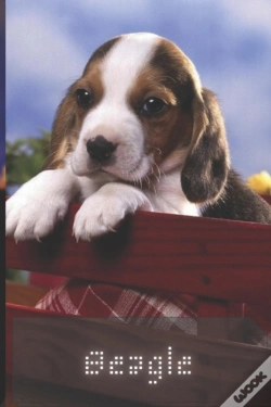 Capa do artigo Beagle