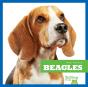 Beagles - Preview