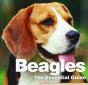 Beagles - Preview