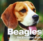 Beagles