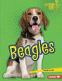 Beagles - Preview