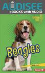Beagles - Preview