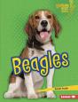 Beagles - Preview