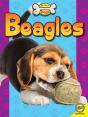 Beagles - Preview