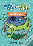 Beak & Ally #3: The Big Storm