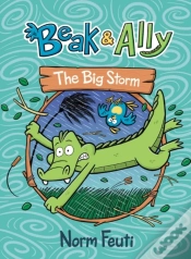 Capa do artigo Beak & Ally #3: The Big Storm