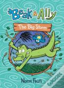 Beak & Ally #3: The Big Storm