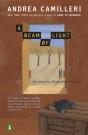 Beam Of Light - Preview