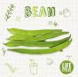 Bean - Preview