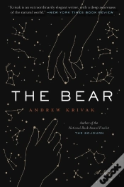 Capa do artigo Bear