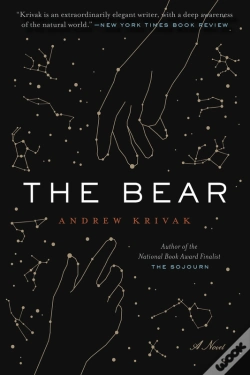 Capa do artigo Bear