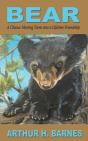 Bear - Preview