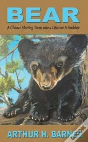 Capa do artigo Bear