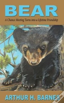 Capa do artigo Bear
