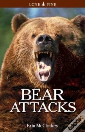 Capa do artigo Bear Attacks