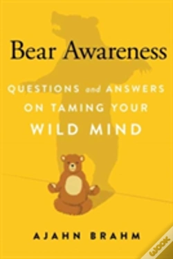 Capa do artigo Bear Awareness