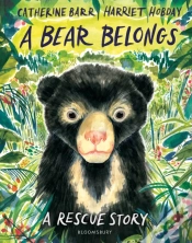 Capa do artigo Bear Belongs