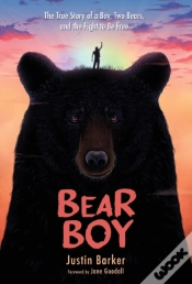 Capa do artigo Bear Boy