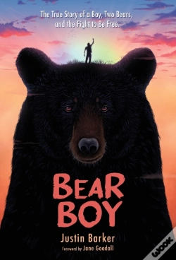 Capa do artigo Bear Boy