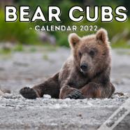 Bear Cubs Calendar 2022