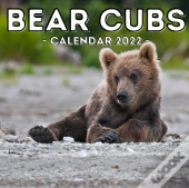 Bear Cubs Calendar 2022