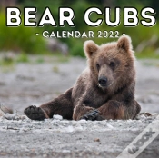 Capa do artigo Bear Cubs Calendar 2022