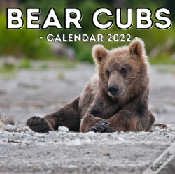 Capa do artigo Bear Cubs Calendar 2022