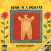Capa do artigo Bear In A Square
