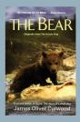Bear - Preview