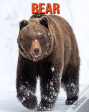 Capa do artigo Bear