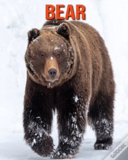 Capa do artigo Bear