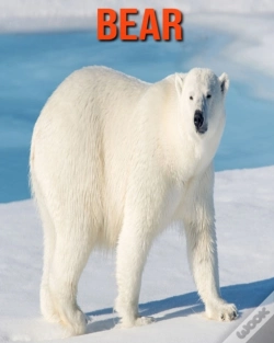 Capa do artigo Bear