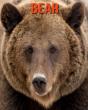 Bear - Preview