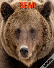 Capa do artigo Bear