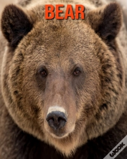 Capa do artigo Bear
