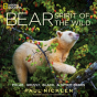 Bear - Preview