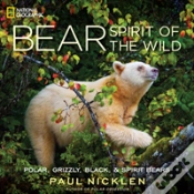 Capa do artigo Bear