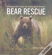 Capa do artigo Bear Rescue