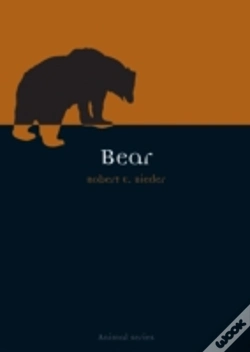 Capa do artigo Bear