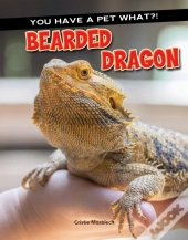 Bearded Dragon