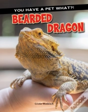 Capa do artigo Bearded Dragon