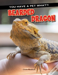 Capa do artigo Bearded Dragon