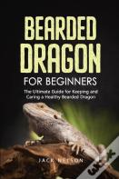 Bearded Dragon For Beginners